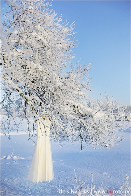 Līga un Valters I Kāzas ziemā janvārī ar sniegu I Fotogrāfs Uģis Nagliņš 194050