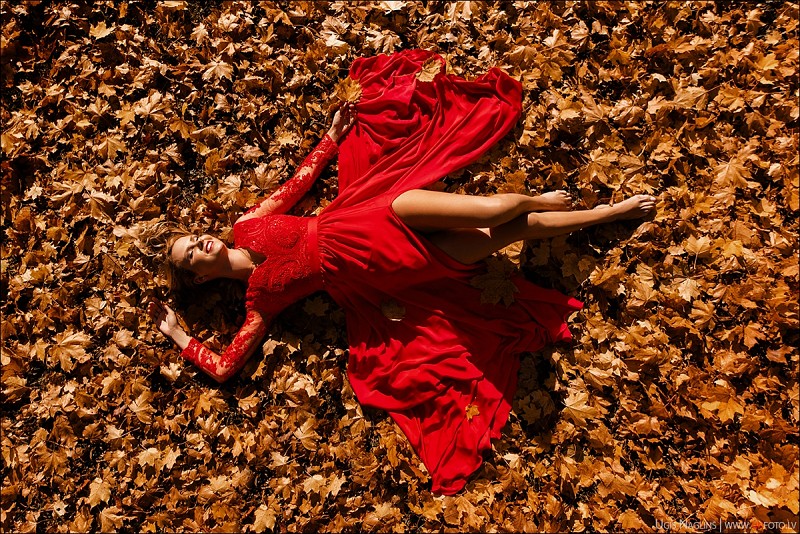 Santa I Individuāla fotosesija rudenī sarkanā kleitā I Fotogrāfs Uģis Nagliņš 262775