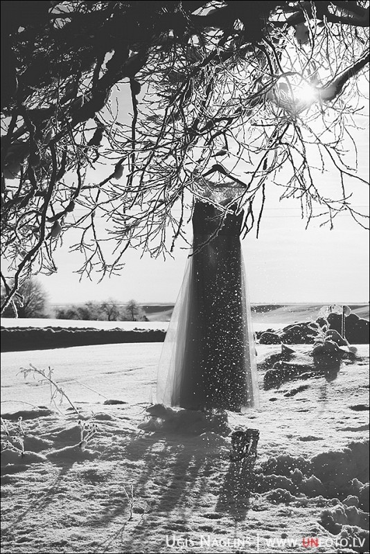 Līga un Valters I Kāzas ziemā janvārī ar sniegu I Fotogrāfs Uģis Nagliņš 194100