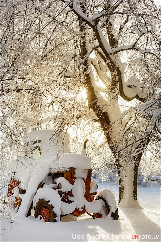 Līga un Valters I Kāzas ziemā janvārī ar sniegu I Fotogrāfs Uģis Nagliņš 194125