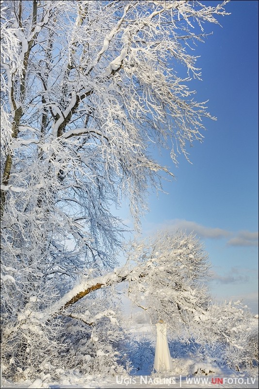 Līga un Valters I Kāzas ziemā janvārī ar sniegu I Fotogrāfs Uģis Nagliņš 193925